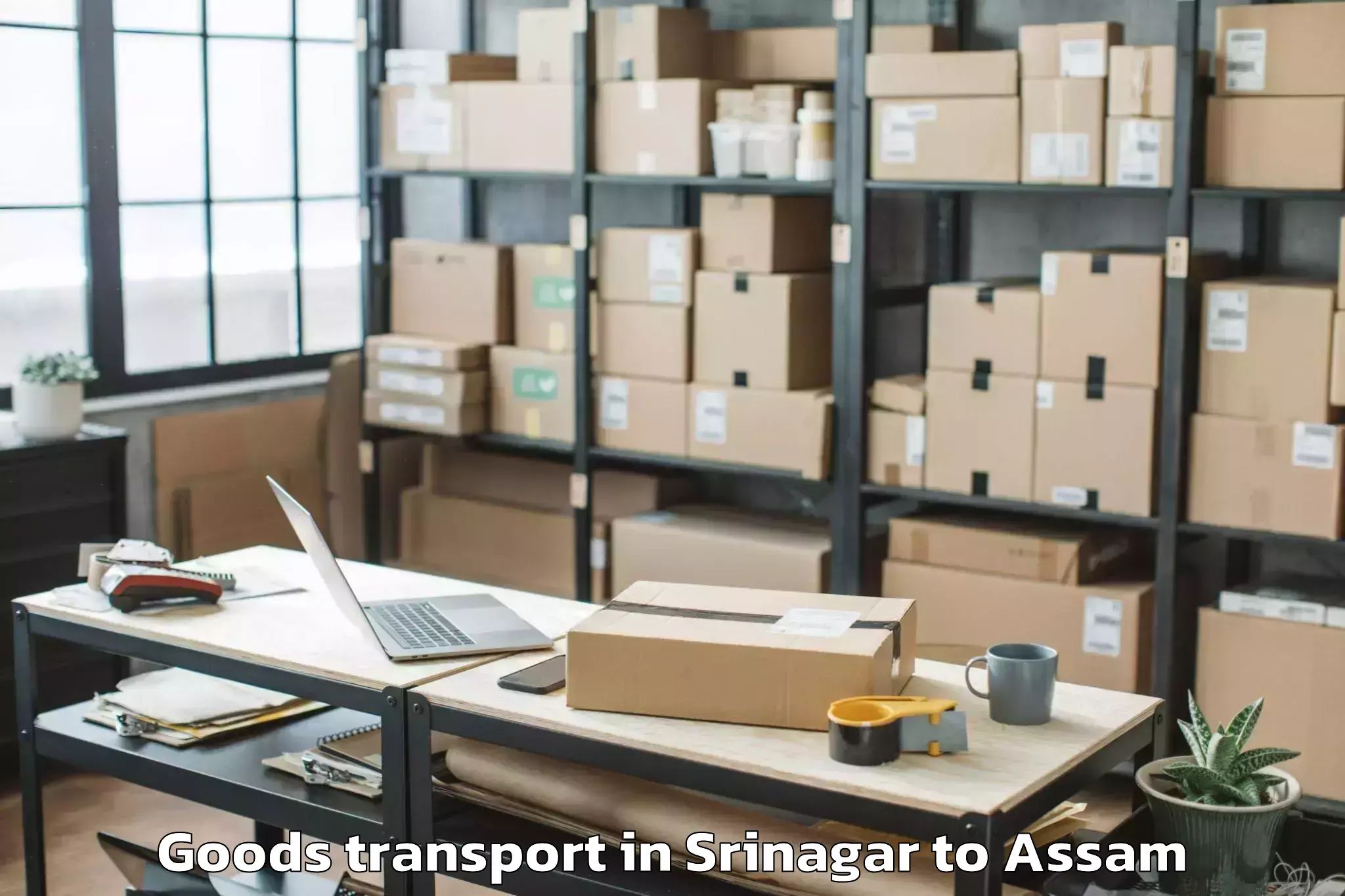 Discover Srinagar to Boko Goods Transport